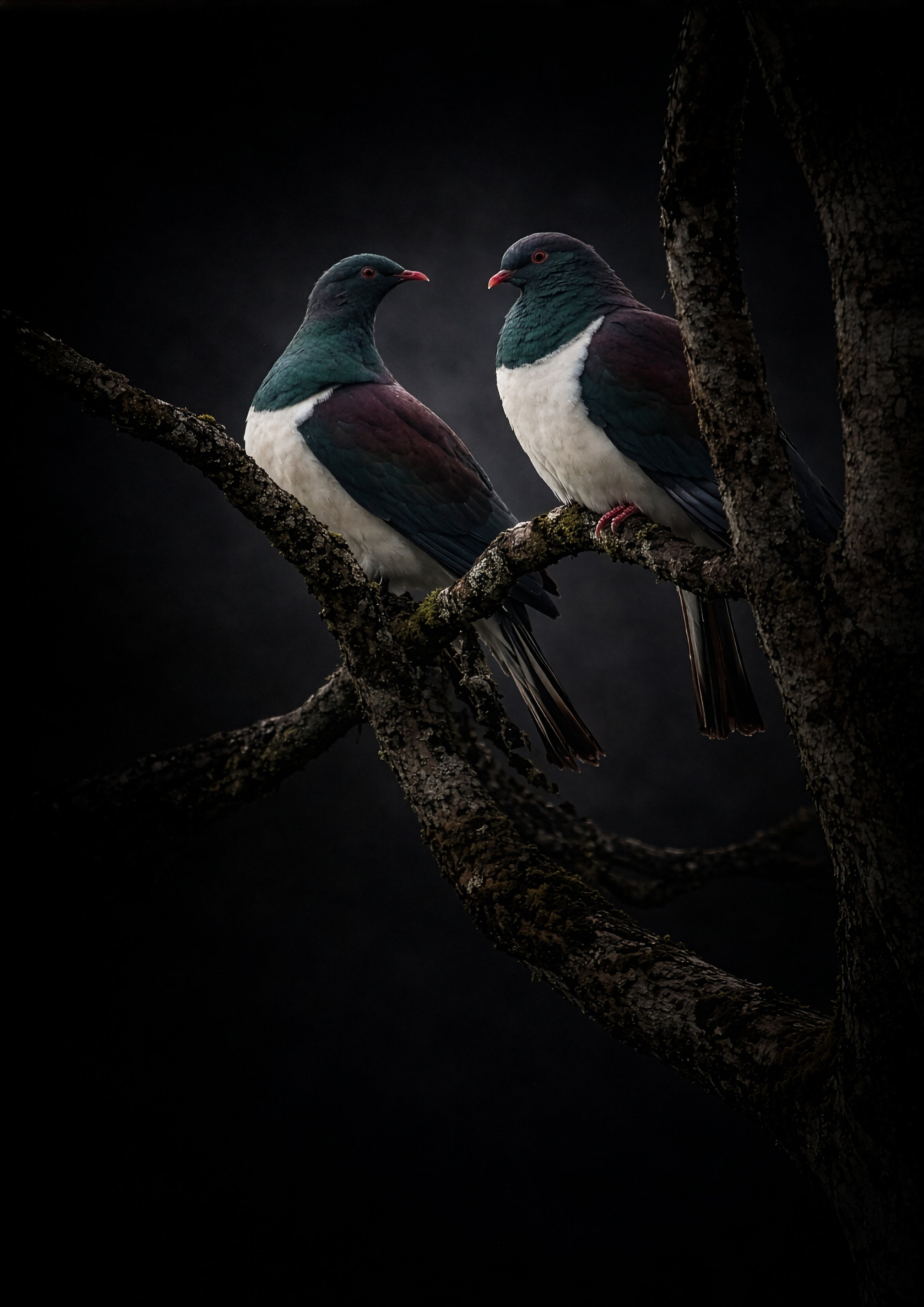 Shared Vigil